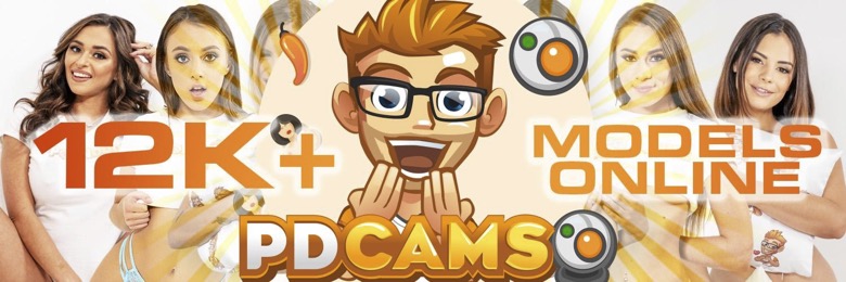 PDcams banner